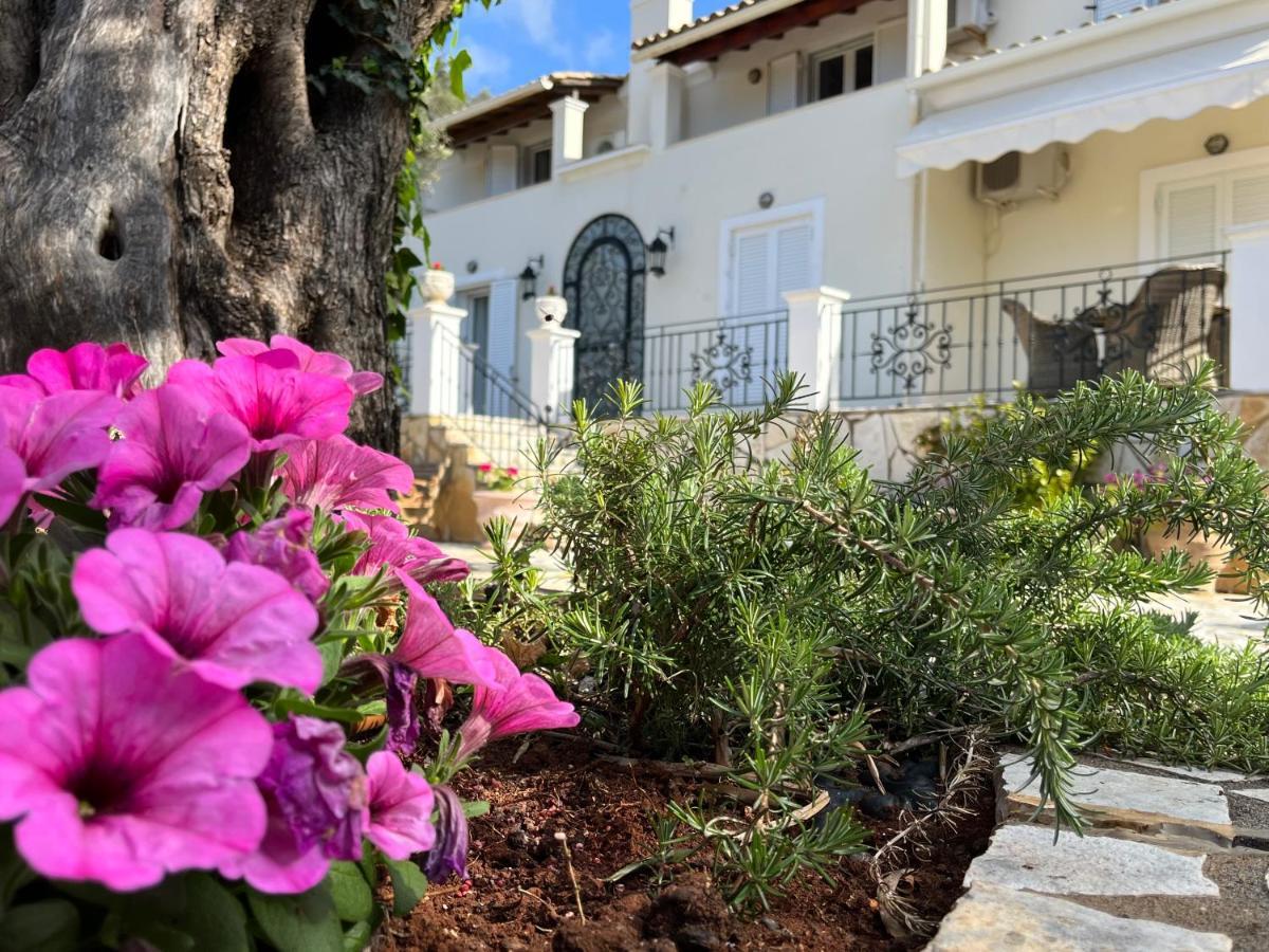 Villa Ampelaki 30 meters to beach Paleokastritsa Buitenkant foto